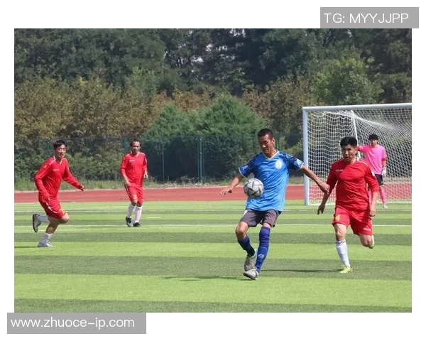 猪猪侠勇闯绿茵场成足球明星展现非凡球技与团队精神