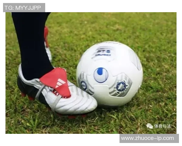 足球明星侵权事件的法律责任与处理机制探讨